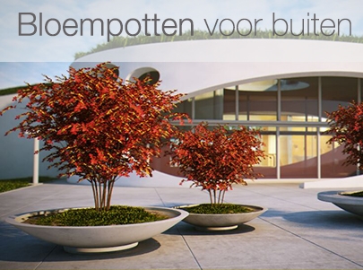 Straat passen overtuigen Design plantenbakken en originele bloempotten | Designpotten.nl