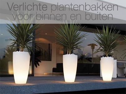 betaling logboek melk Design plantenbakken en originele bloempotten | Designpotten.nl